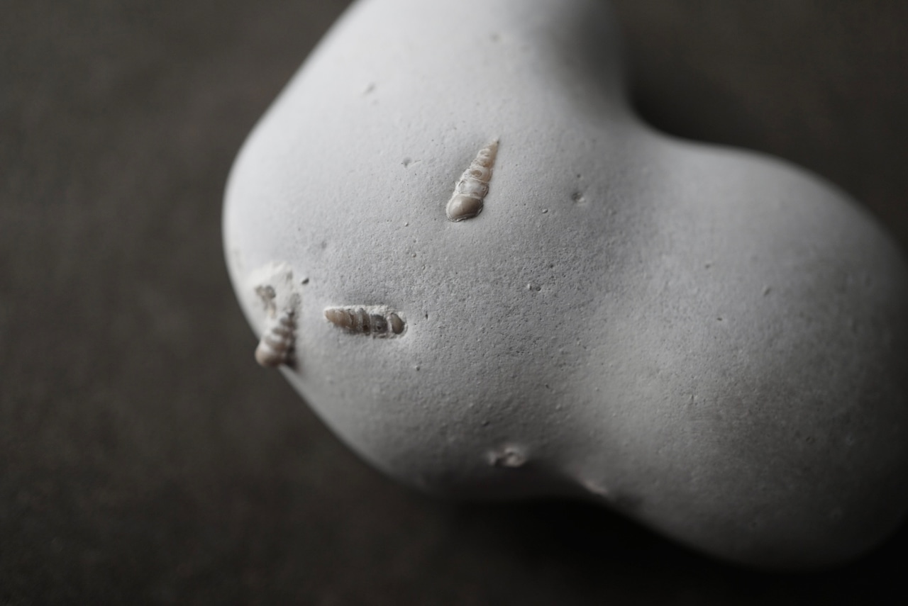 メニライトオパール Menilite Opal 1919