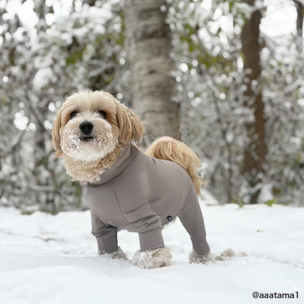 WATER REPELLENT SKIN TIGHT SUIT（M.MD.L） ウォーターリペレント