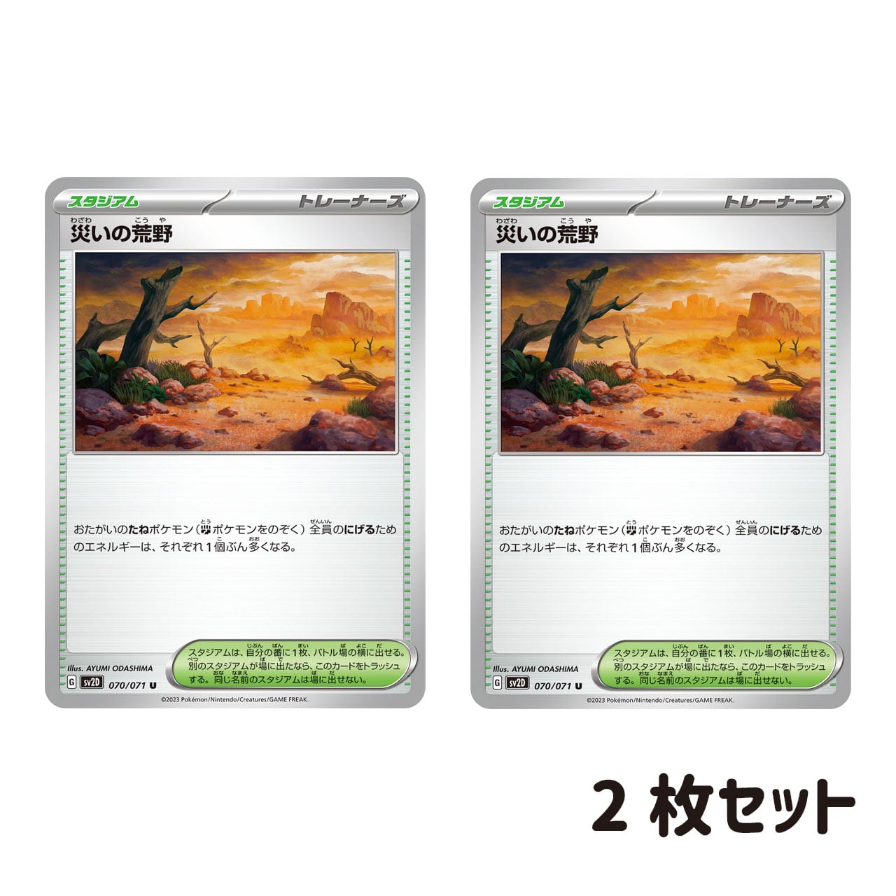 災いの荒野 2枚セット | ポケモンカード専門店 Cobalt Cave
