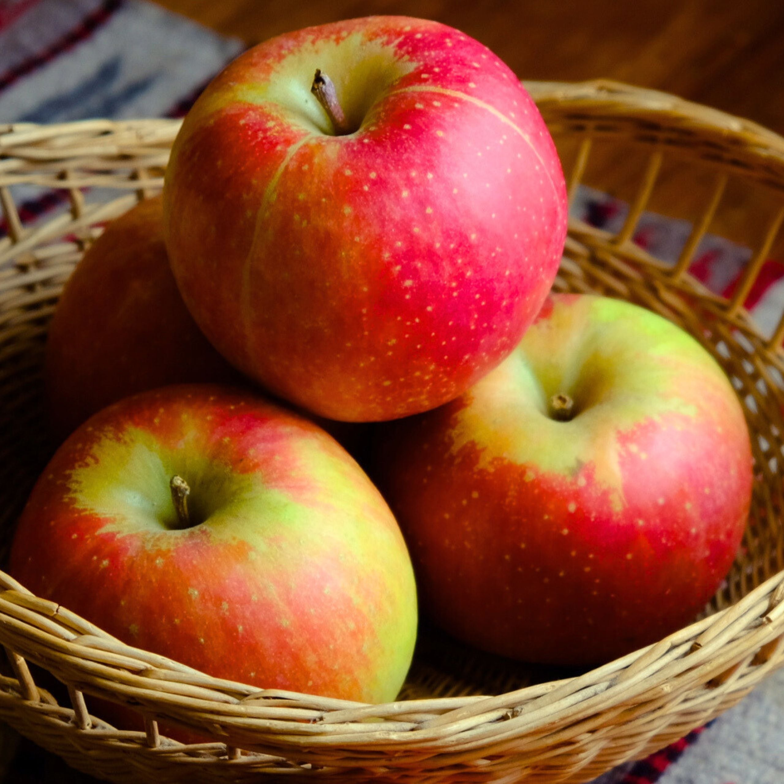 甘いりんご】あふれる果汁でジューシーなりんご「みちのくロマン