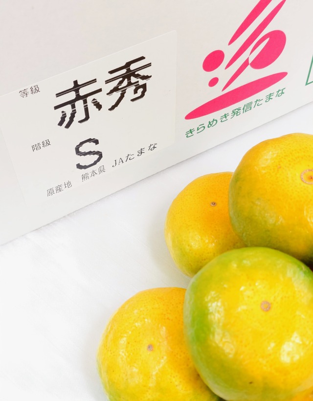 【熊本県産 極早生みかん】Sサイズ/1箱5㎏（約70個入り）　※包装・お熨斗無料