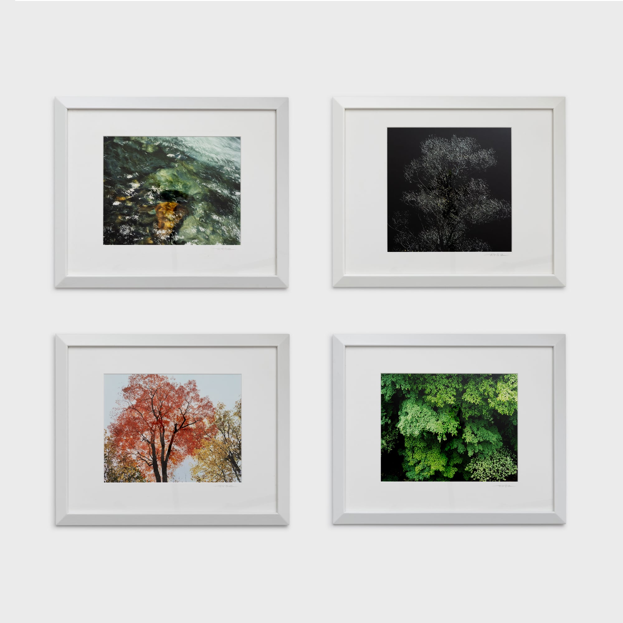 前田真三額装写真「絵模様」白木額〈展示品／直筆サイン入〉 | 拓真館