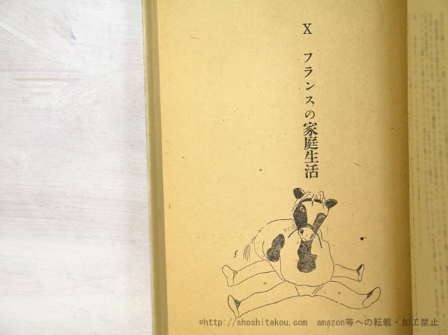 藤田嗣治 巴里の書と夜 藤田嗣治 巴里の書と夜 巴里の