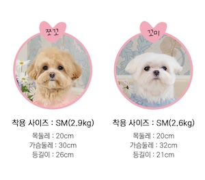 即納【MYLITTLEDOG】Blossom Sweatshirt (peach)