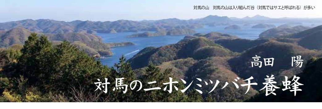 対馬自然観（対馬博物館R8年度特別展図録） | 北九州・魚部