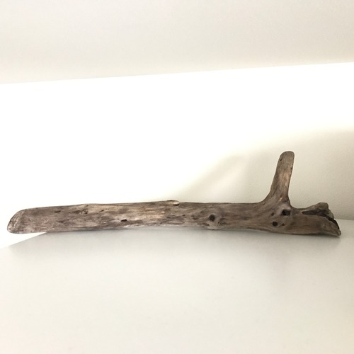 枝分かれしてる流木