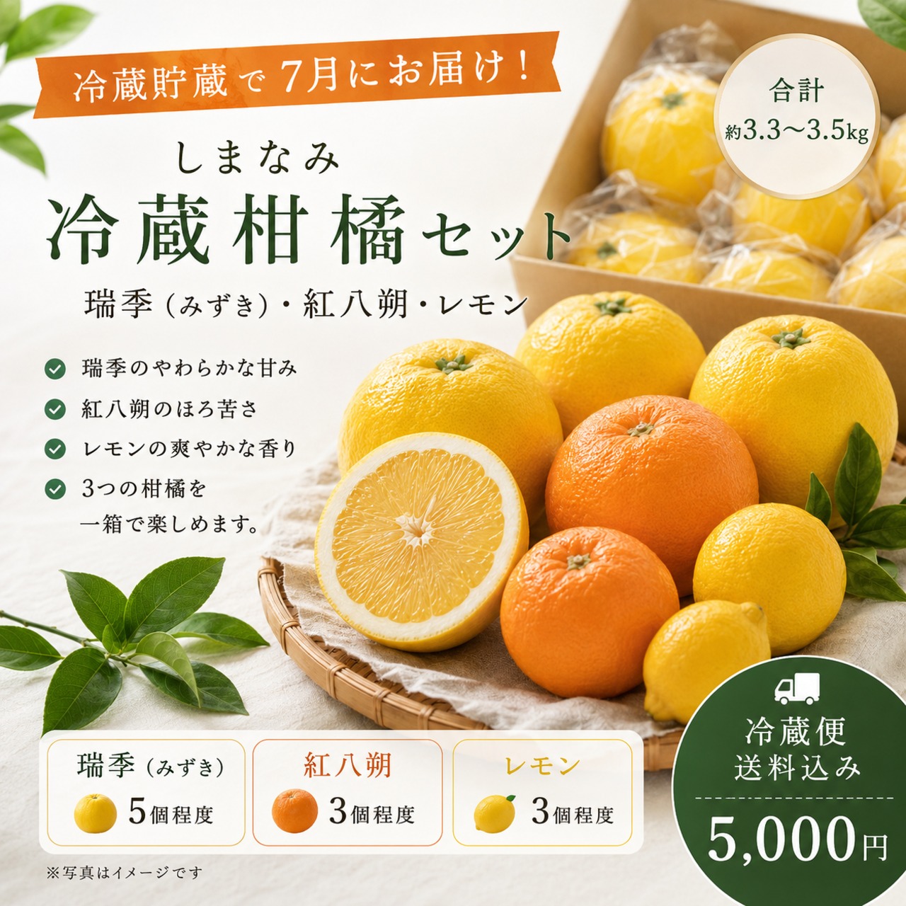 【クール便・送料込み】しまなみ冷蔵柑橘セット｜瑞季・紅八朔・レモン