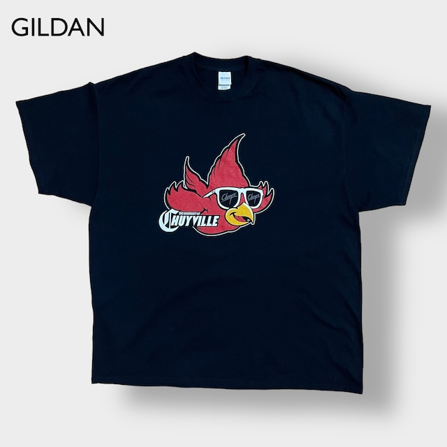 【GILDAN】カレッジ イラスト ロゴ Tシャツ 2XL ビッグサイズ ルイビル大学 University of Louisville メキシコ製 半袖 夏物 us古着