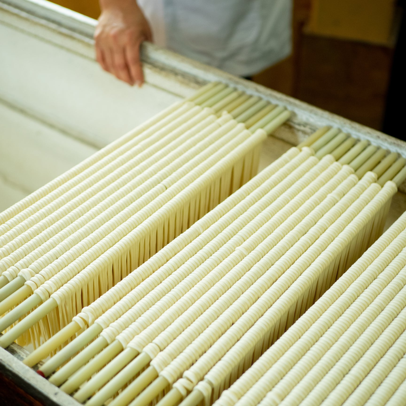 小豆島手延べそうめん 5束入（50g×5） | PAY ID