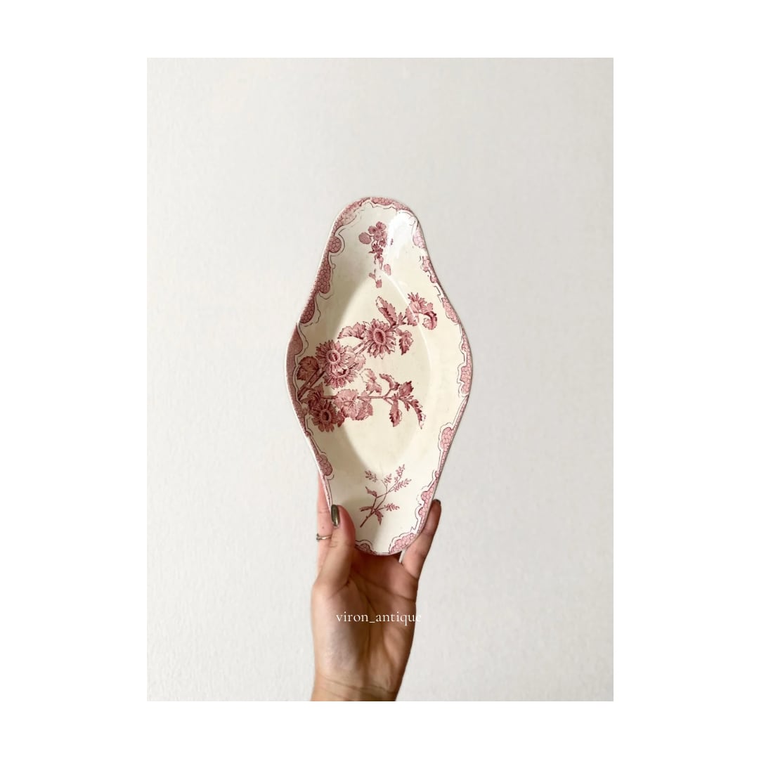 Longwy ロンウィー / “SOLEIL” ラヴィエ