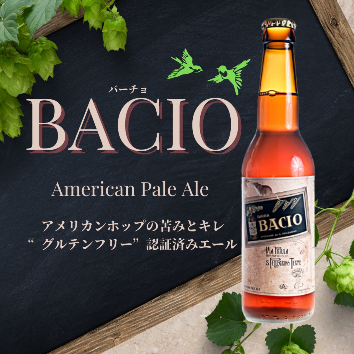 BACIO American Pale Ale(バーチョ アメリカンペールエール) Birre Via priula from Italy