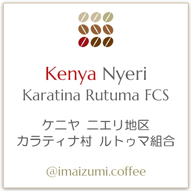 【送料込】ケニヤ ニエリ地区 カラティナ村 ルトゥマ組合 - Kenya Nyeri Karatina Rutuma FCS - 300g(100g×3)