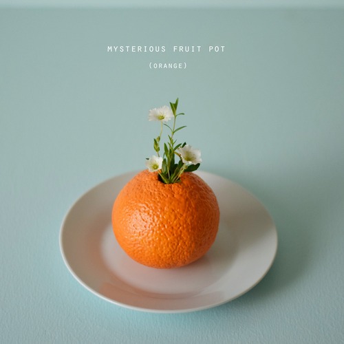 mysterious fruit pot (orange) フラワーベース