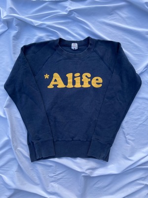90s ape スウェット