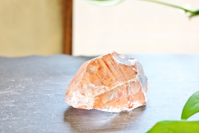 レッドレムリアン　C