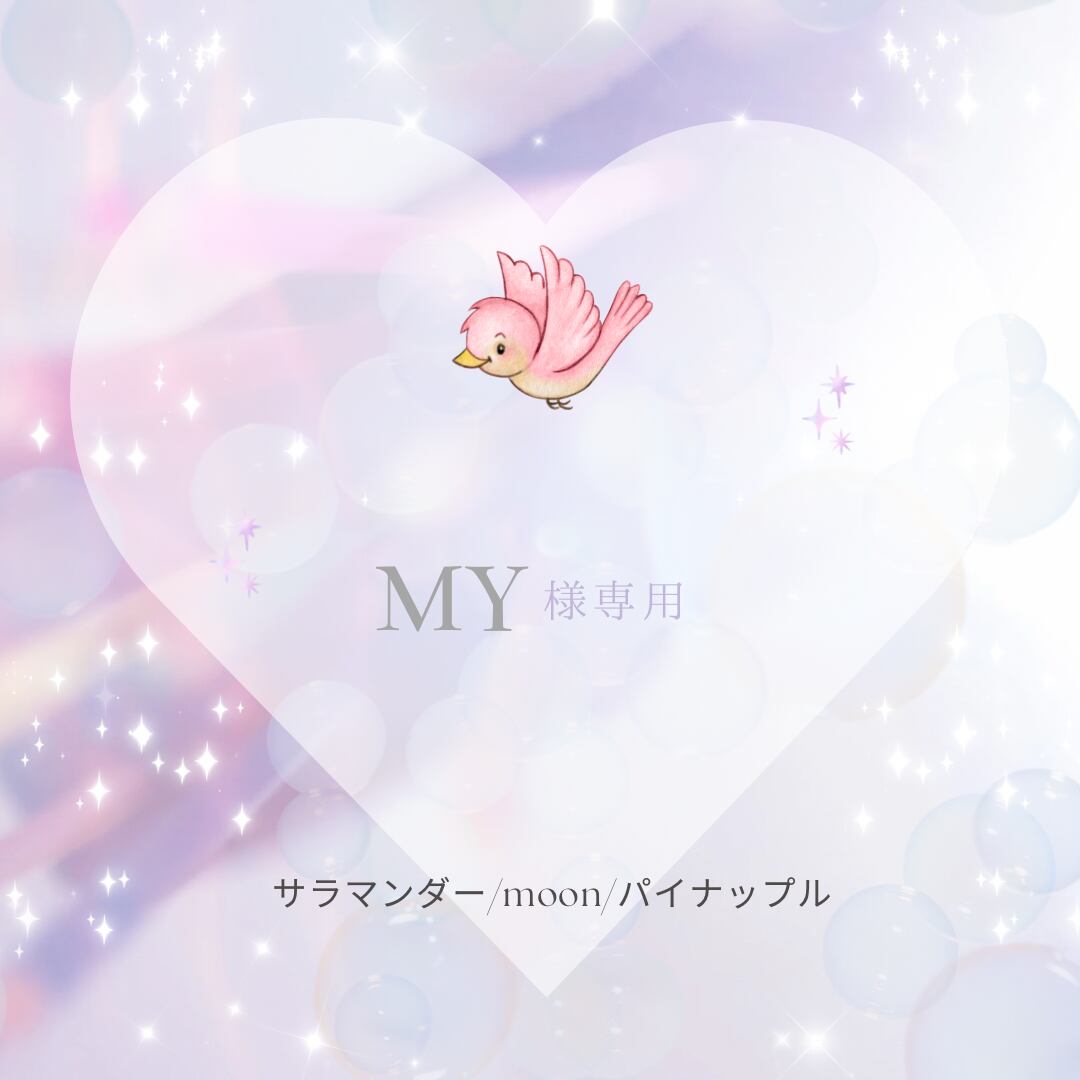 MY様専用カート//サラマンダー・moon・パイナップル