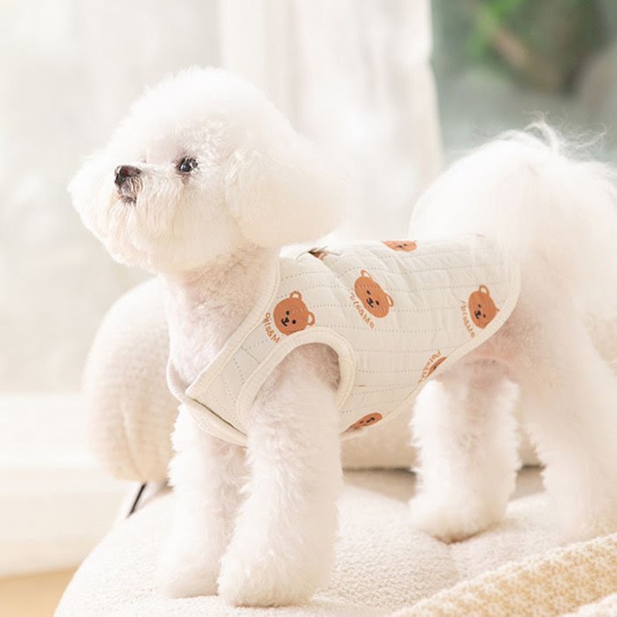 犬服 SS わんこの普段着くまの散歩 | ヤマダウェブコム