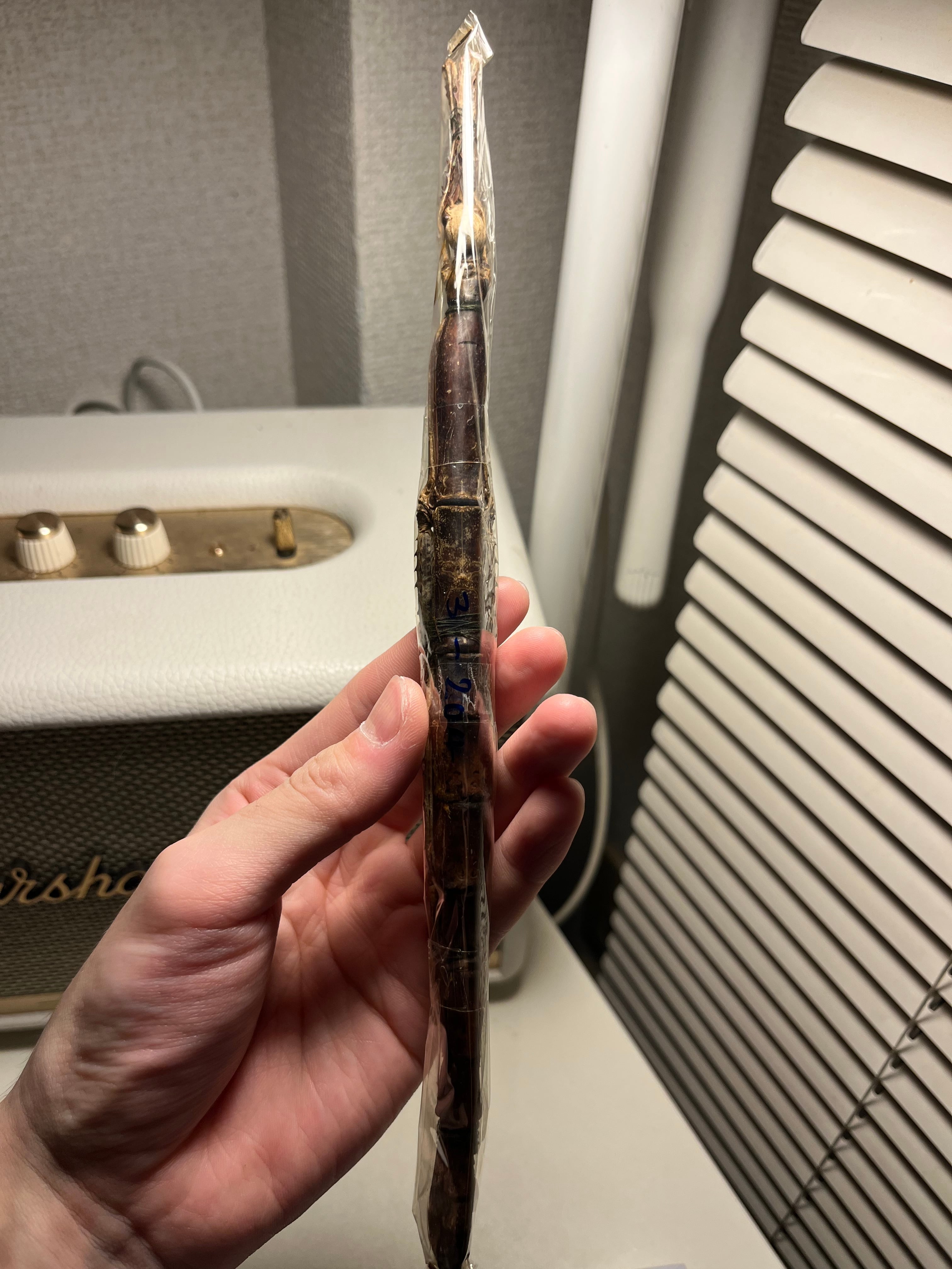 直翅類 | オモニキチュウ