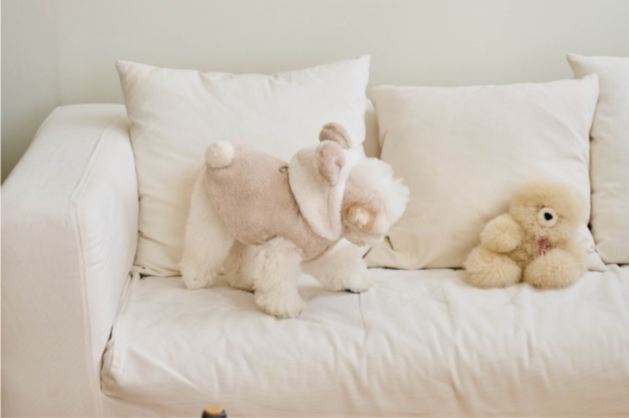 即納【hapoohe】Fluffy Bear Coat (Milk tea)