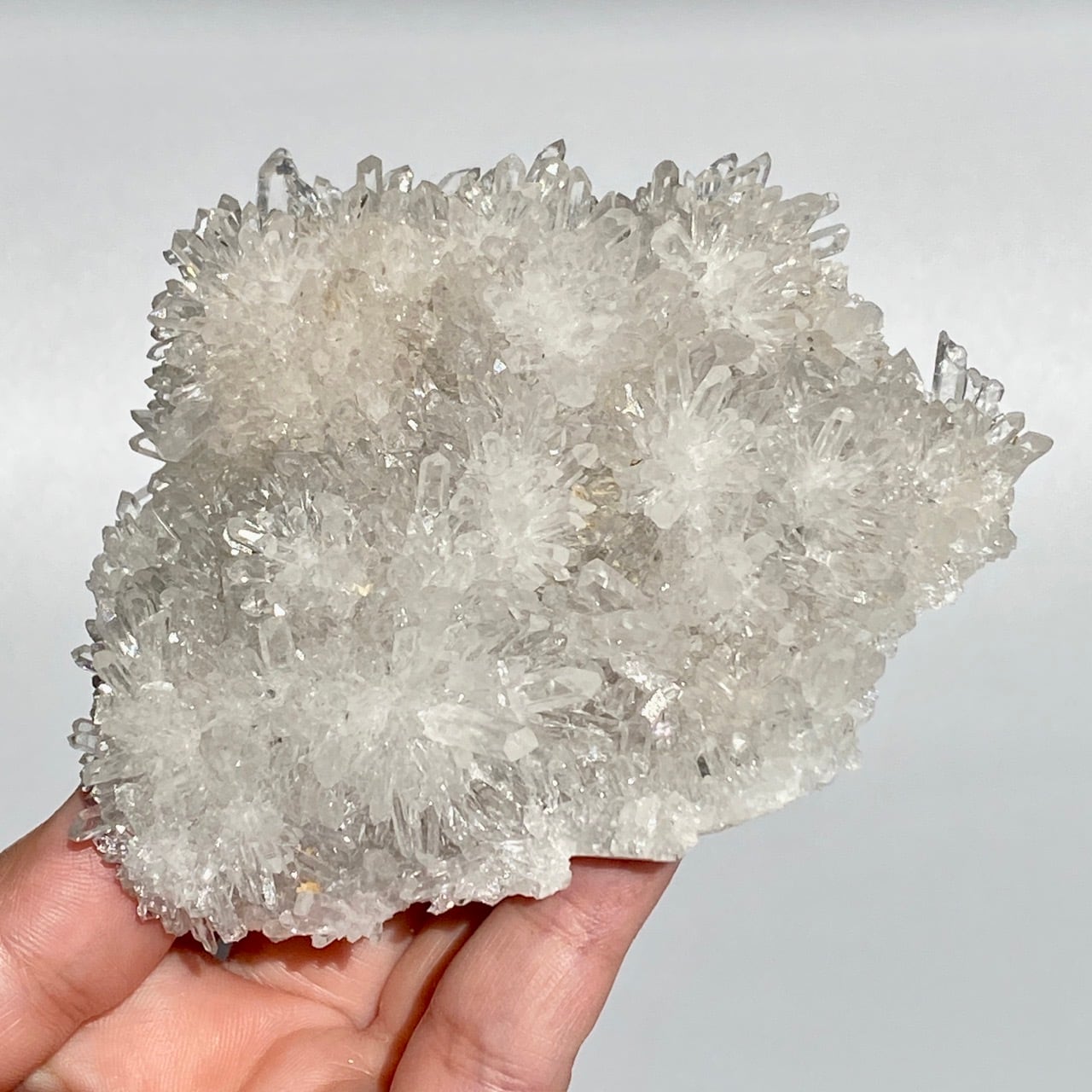 菊花水晶のクラスター Chrysanthemum Clear Quartz Cluster 菊花水晶のクラスター Chrysanthemum Clear Quartz Cluster