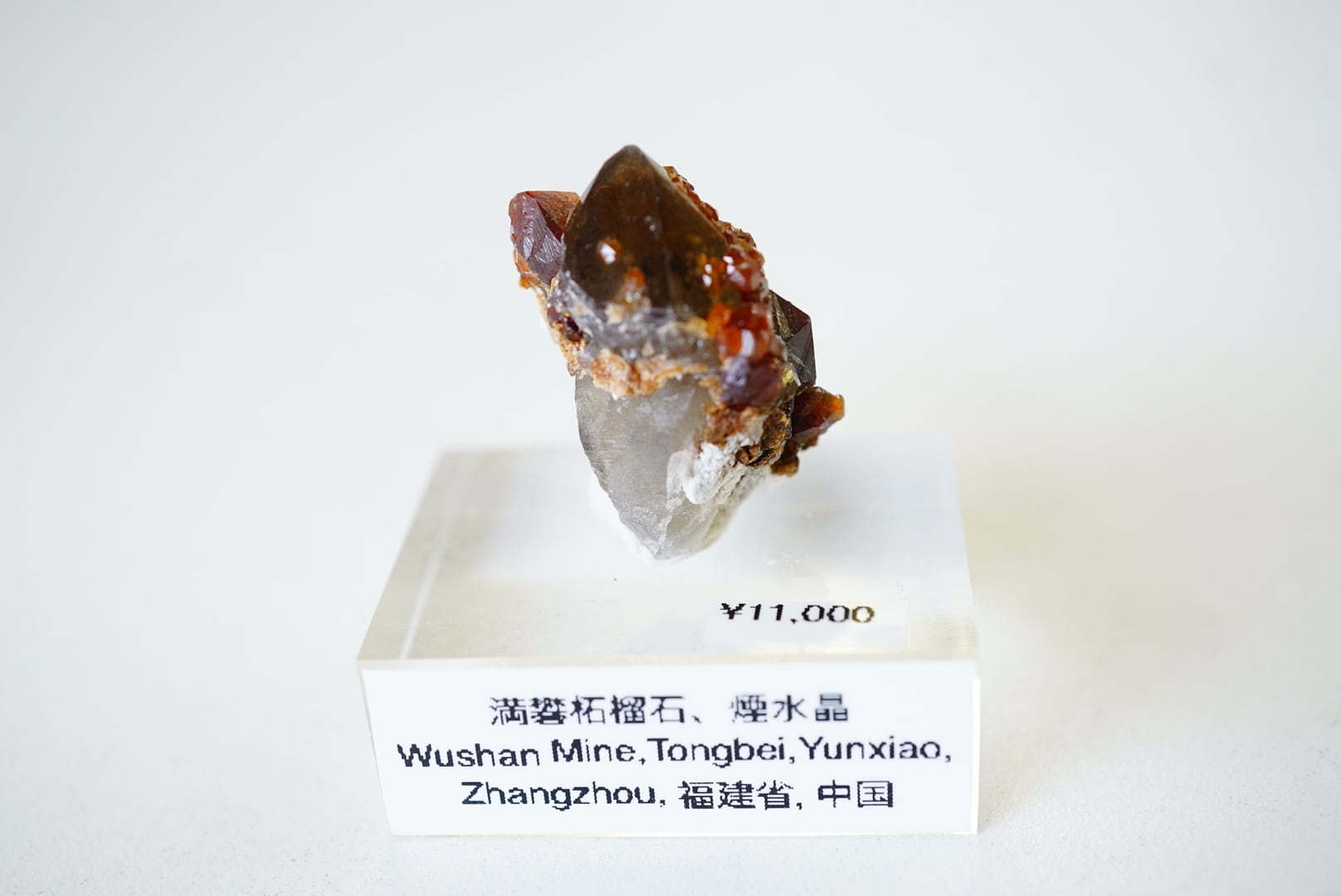 中国、福建省、Wushan 鉱山の煙水晶の上のスペサルティンガーネット④