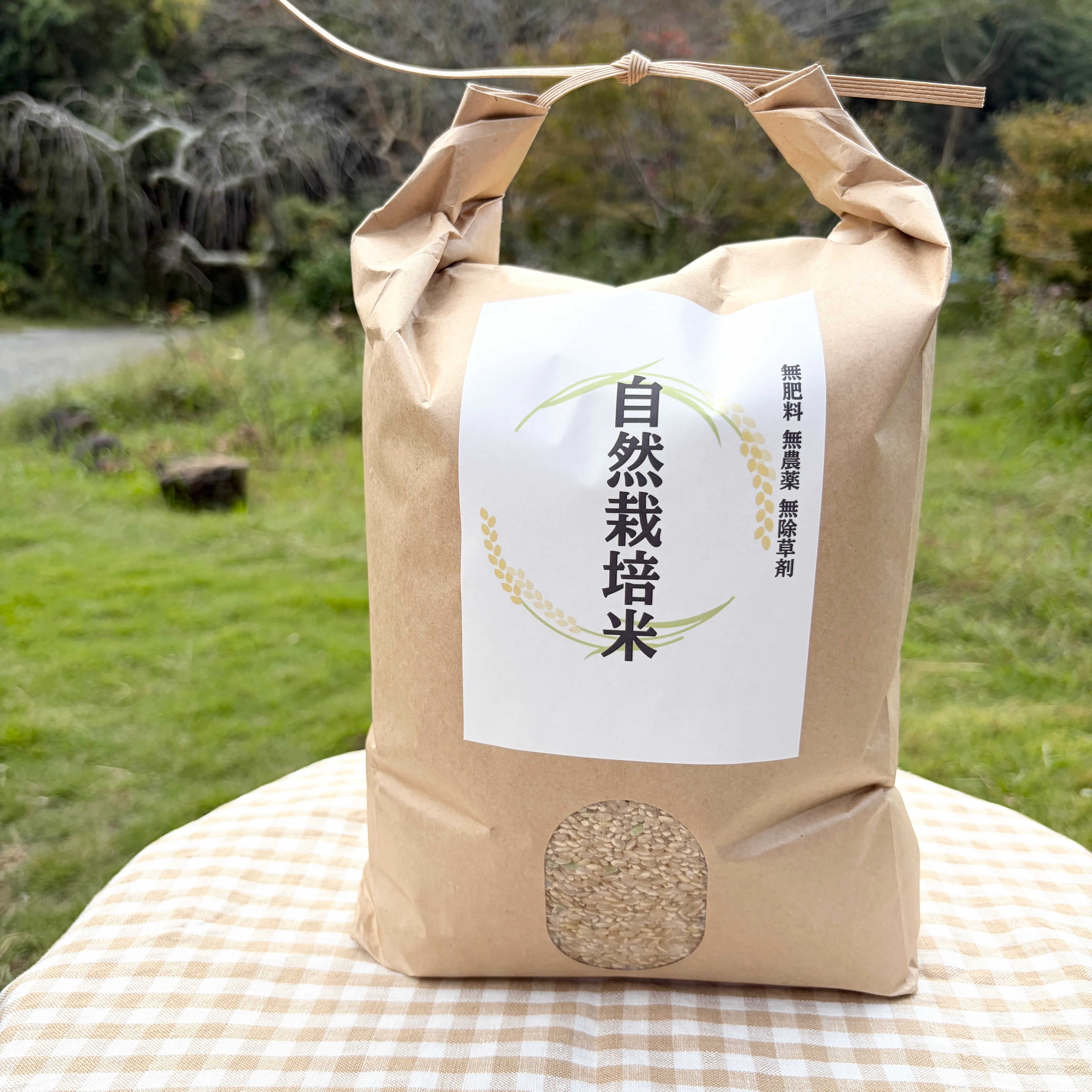 調味料 神宝塩3000g（特大）