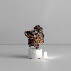 3Framers 水野幸一 流木のオブジェ 照明  MK16