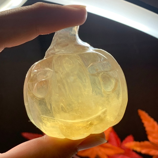 3.かぼちゃ・フローライト