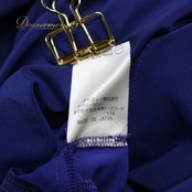 社交ダンス 衣装 スカート パープル系 チャコットロイヤルダンス Chacott ROYAL DANCE 紫 無地 シンプル 伸縮 レッスン 練習 シフォン 明るい 日本製 上品 かわいい ストレッチ 華やか