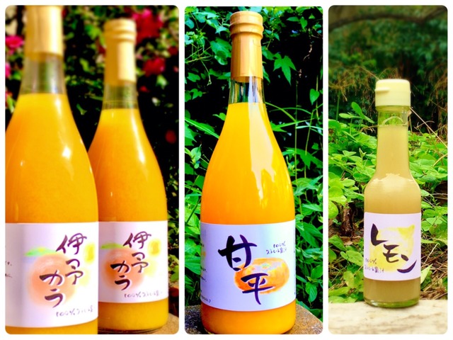 ４本ジュースセット「伊予カラ」「甘平」「レモン(小瓶)」100% 果汁