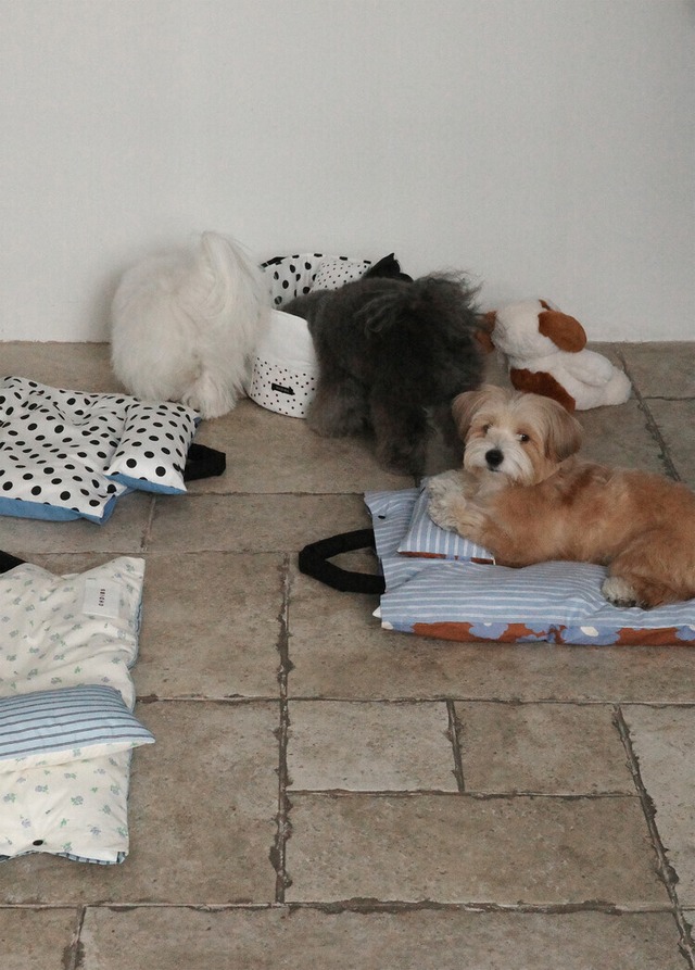 〈予約アイテム〉OHDIBS /Homey Warmy Topper -カバーのみ-