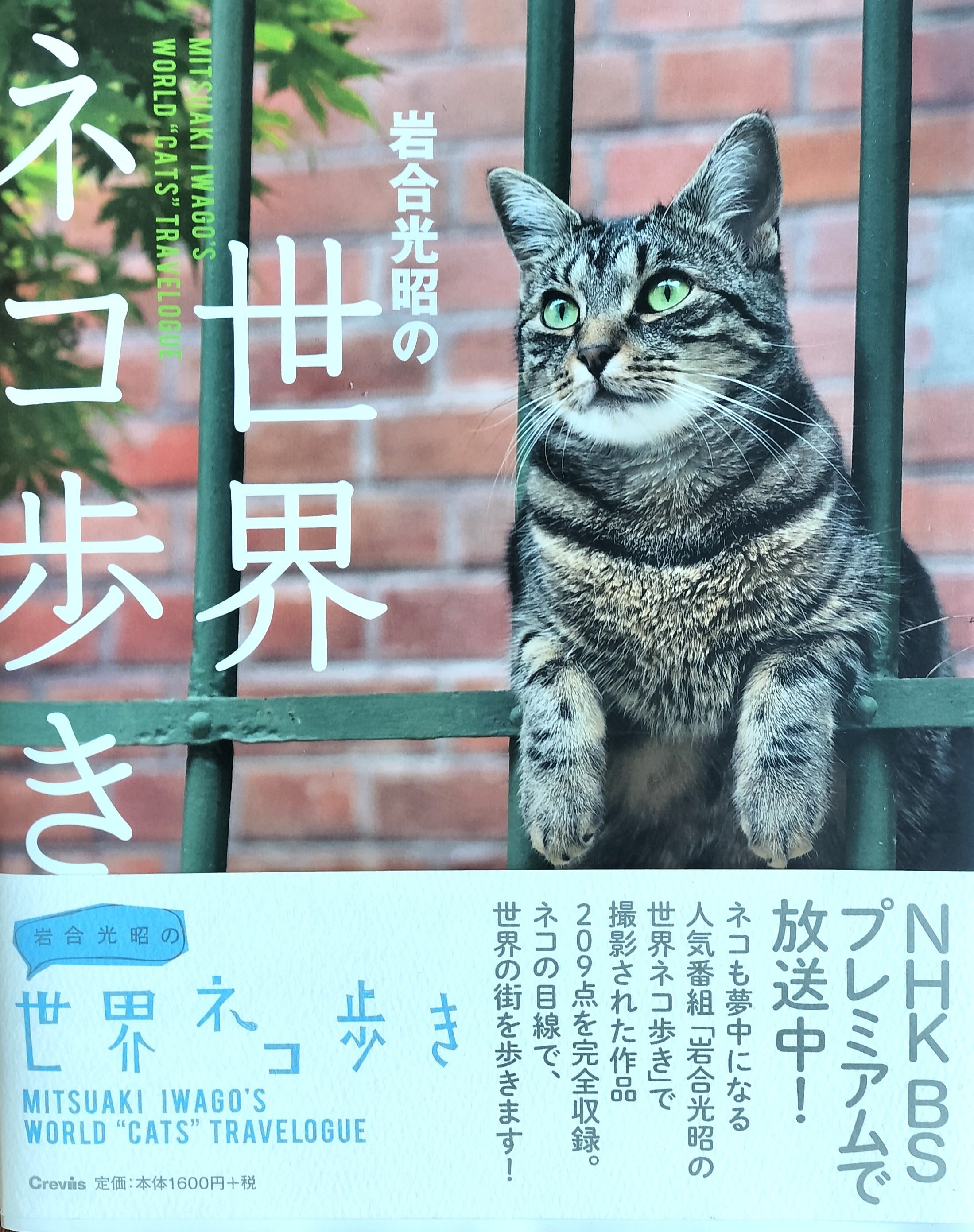 岩合光昭の世界ネコ歩き 【古書】 | 本屋 ひるね