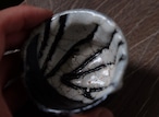 蓬莱掛分ぐい呑 /卯一                                      Horai Iron-Glazed white-flow sake cup/Uichi