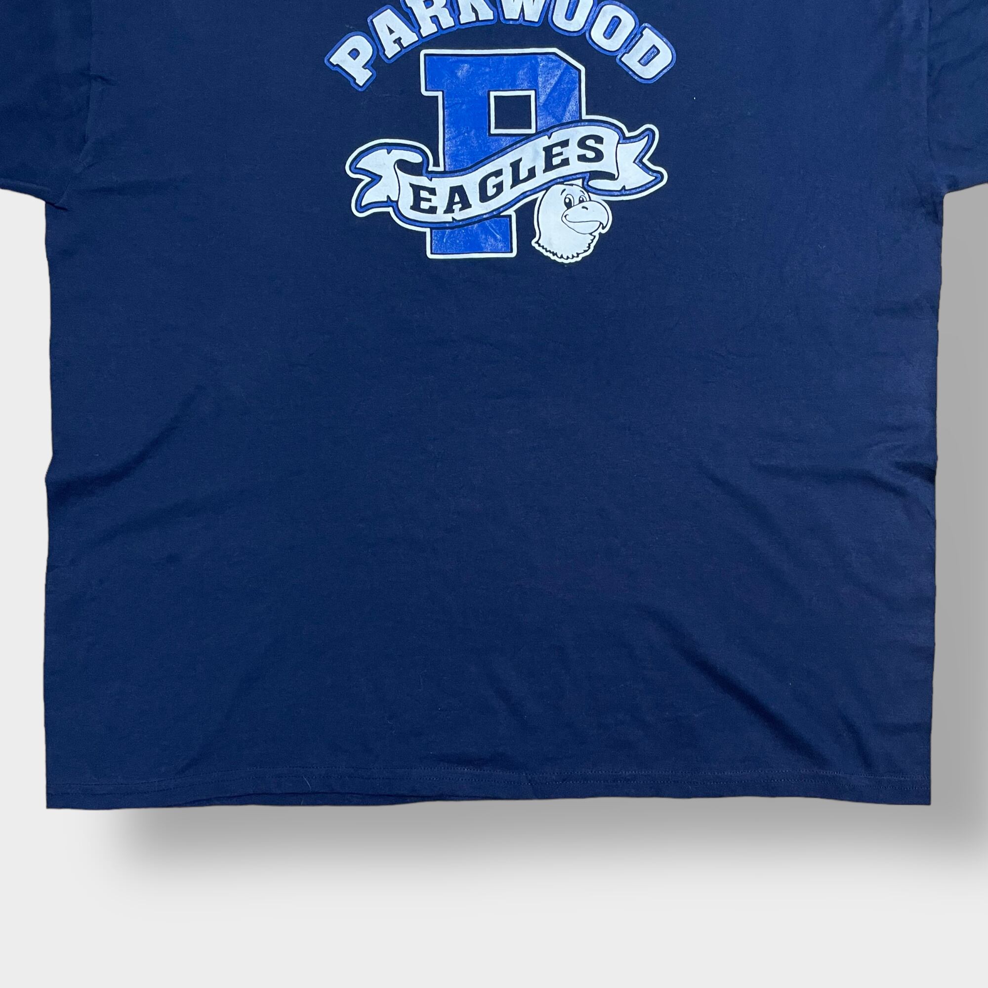 JERZEES】2XL ビッグシルエット イラスト アーチロゴ Tシャツ PARKWOOD