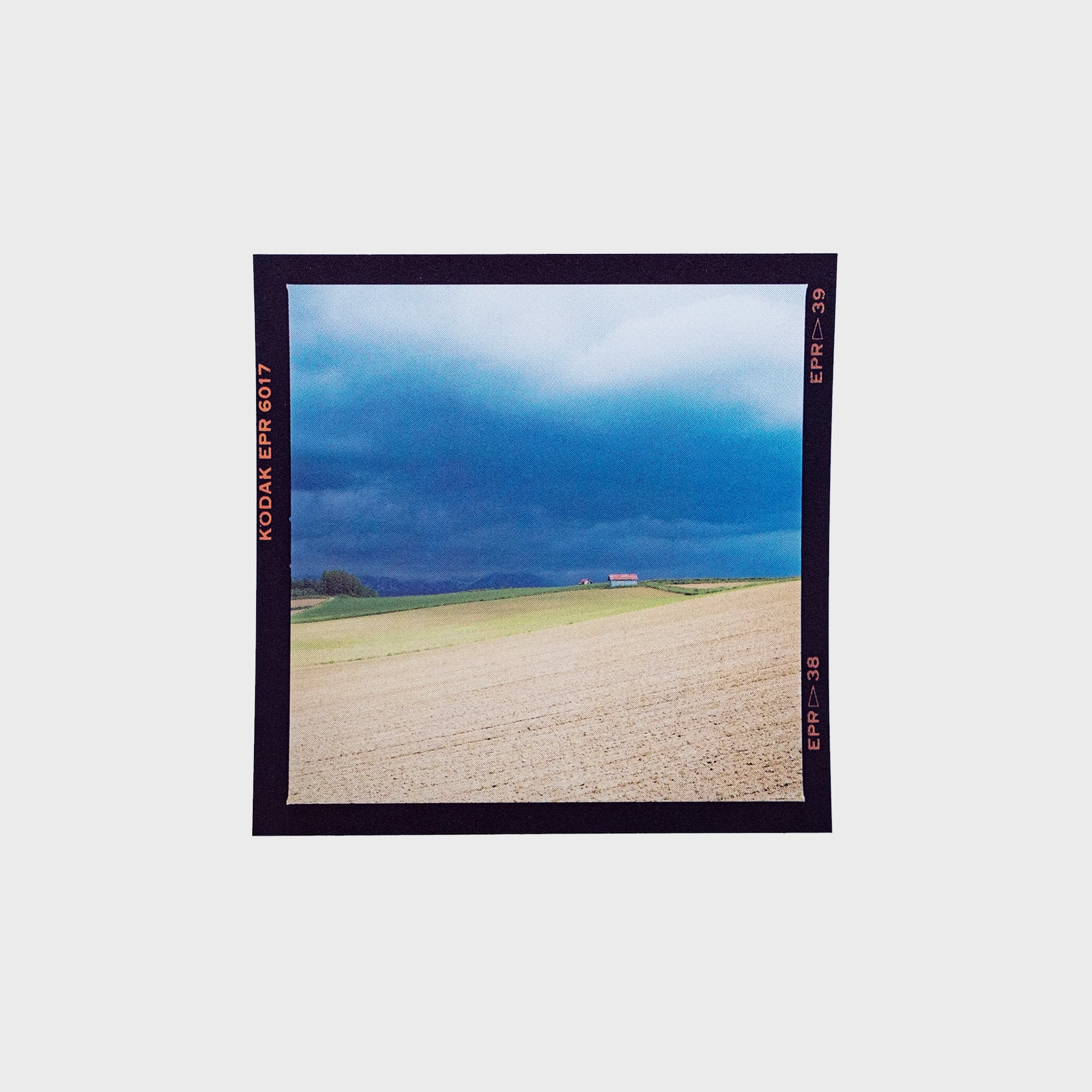 6×6フィルムステッカーB〈6枚セット〉 | 拓真館 TAKUSHINKAN