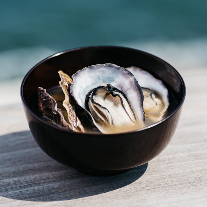 送料無料キャンペーン中！】 殻付き生牡蠣：ひがた美人 10粒（冷凍：M