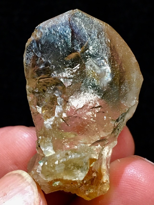 8) ゴールデン・アゼツライト