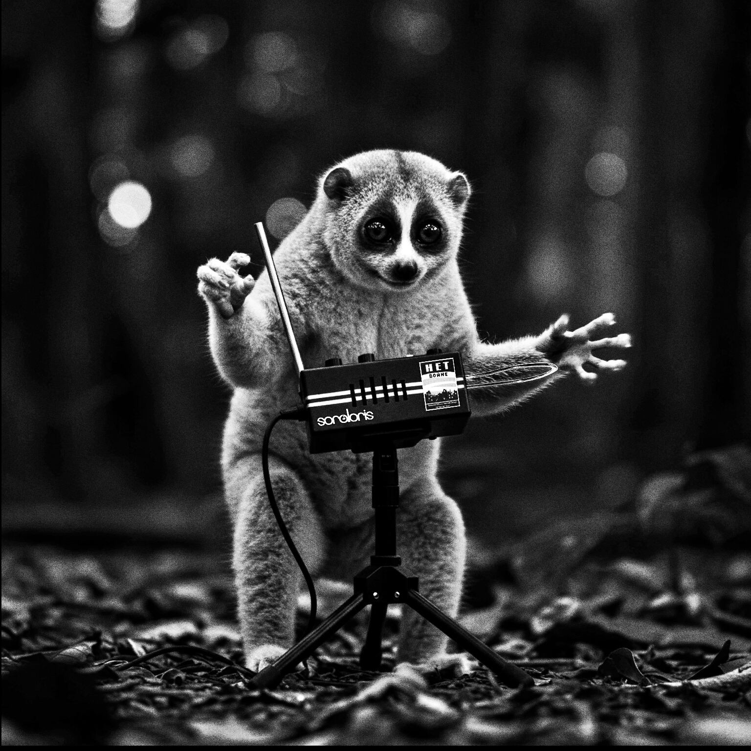 Slow Loris plays the theremin / ハイクオリティーTシャツ(5.6オンス