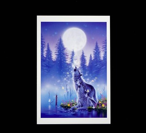 ポストカード「オオカミ」