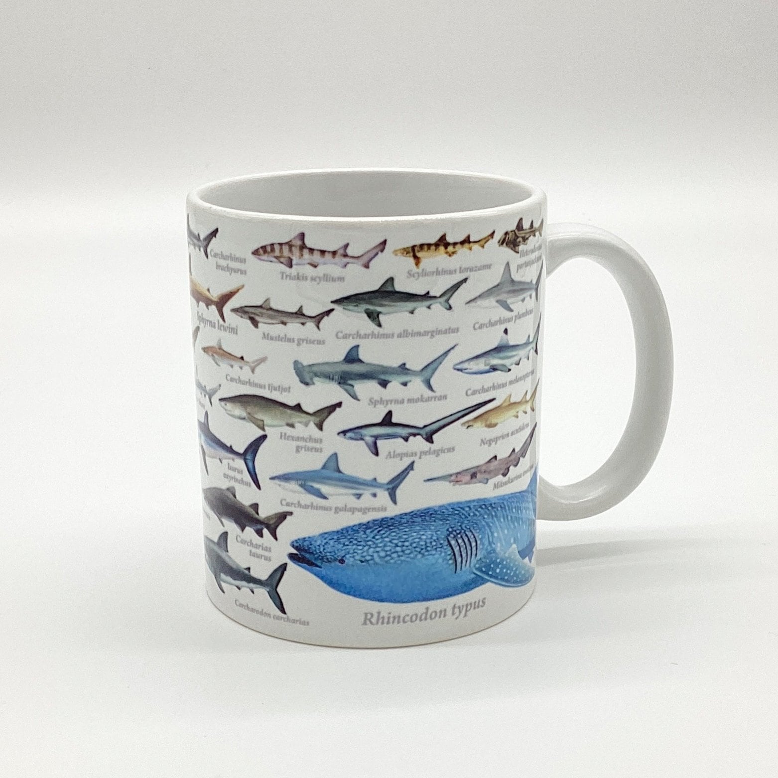 図鑑大全マグカップ《全6種》 | 幼魚屋オンラインショップ