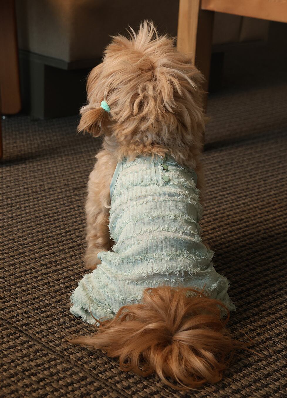 予約【noonoosoom】romantic hairy all in one (Mint)