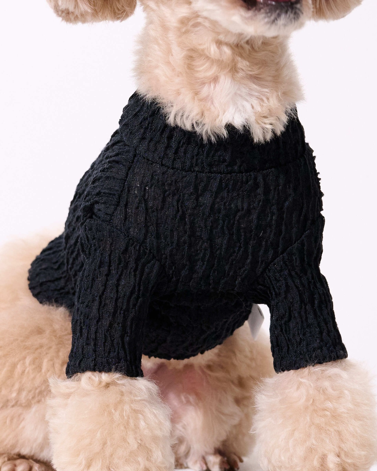 ブルーゼニット　ブラック