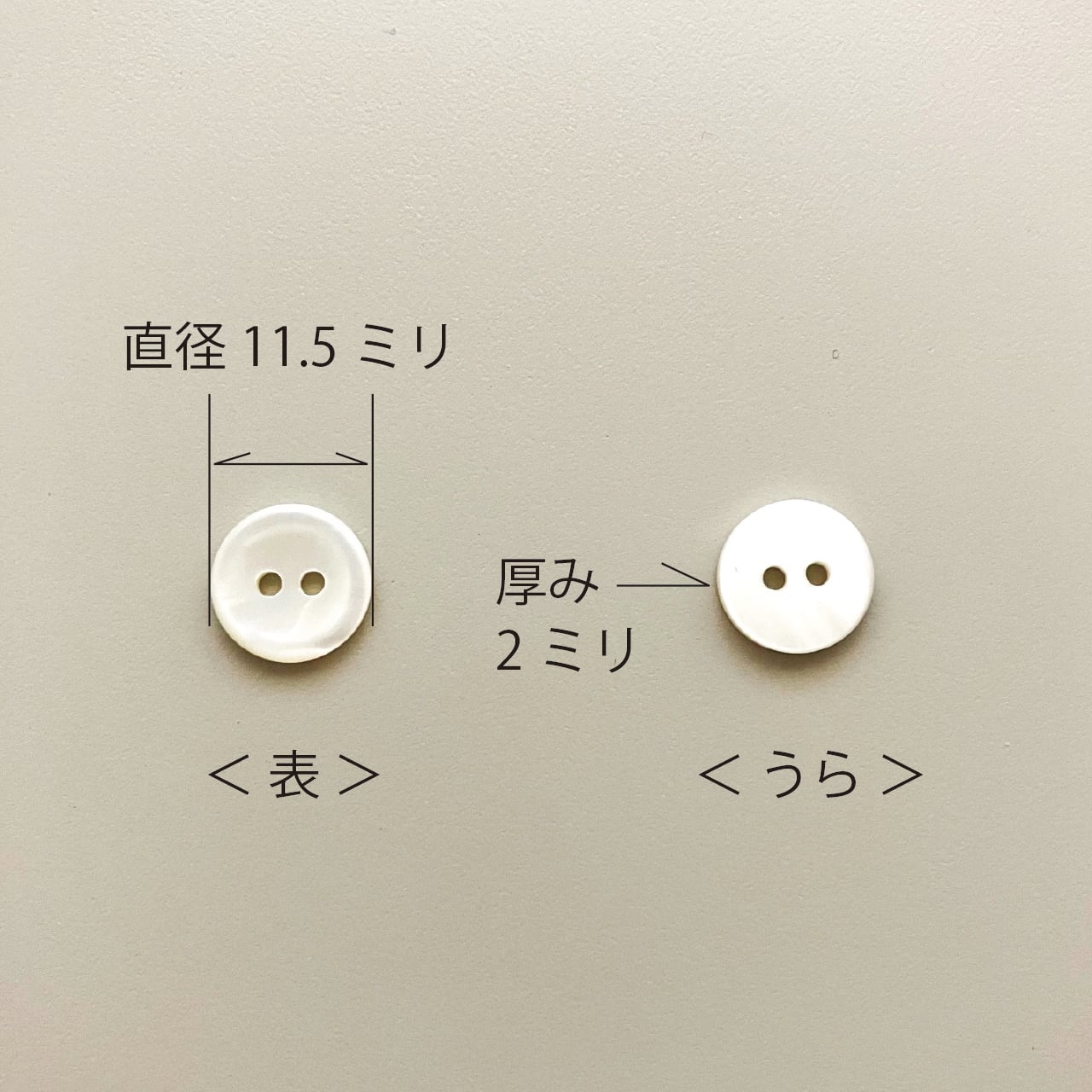 二つ穴ボタンX1ケ（ 高瀬貝ボタン：11.5ミリ ） | 子ども服の型紙