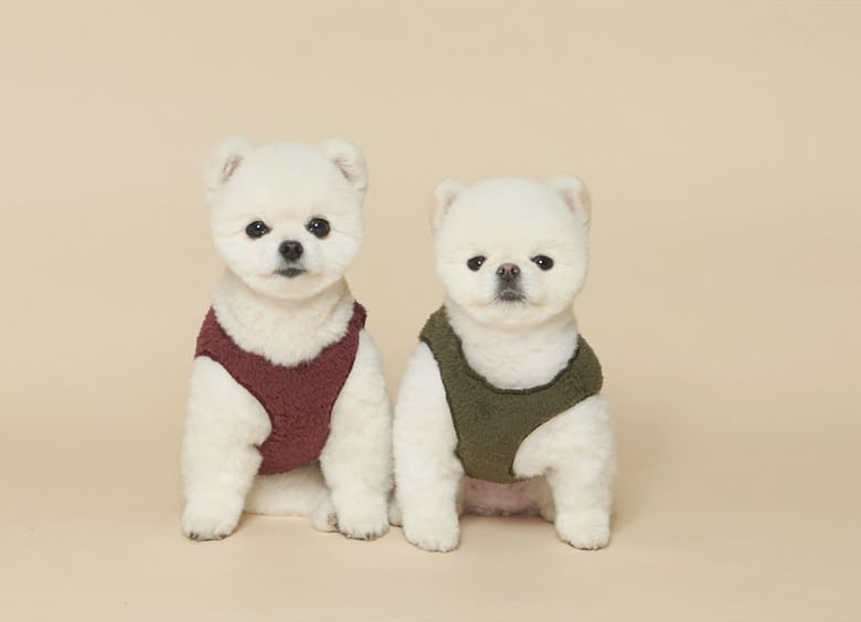 クマちゃんベストver.2 S ~ XL 5color / 犬服 秋冬 ベスト ドッグウェア アウター 新作 もこもこ ペット洋服 b42