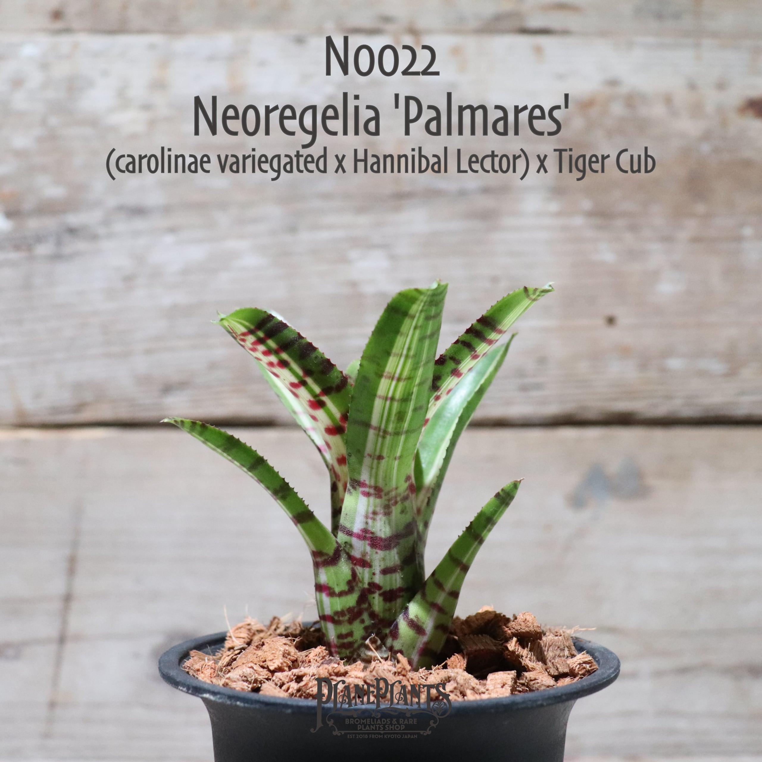 d98a3dfd201d9ba3ec74e6e7e3347c