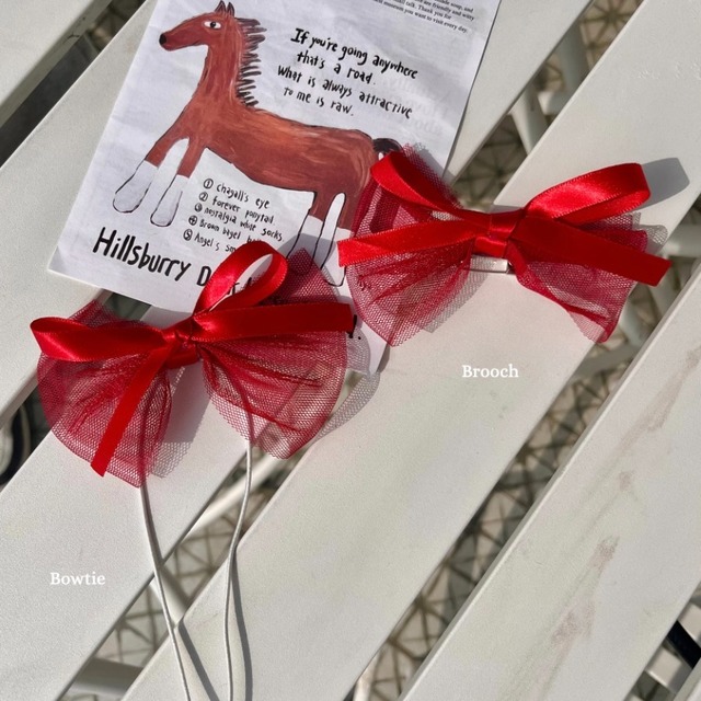 【予約】[Hi yeboo] The Red Acc (brooch)