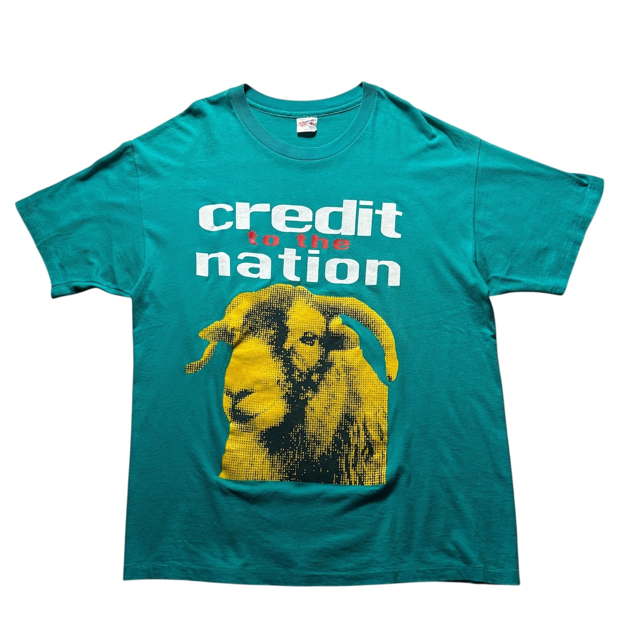 vintage 1994’s CREDIT TO THE NATION music tee “Teenage Sensation”