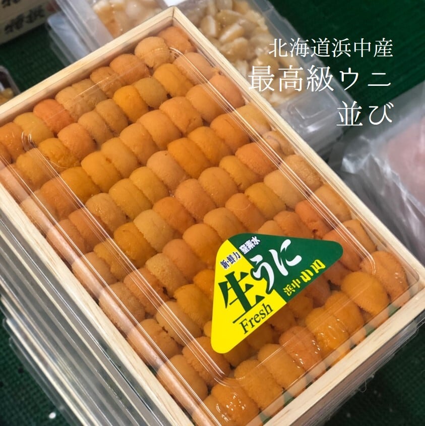特上ウニ 並び 北海道産浜中産 エゾバフンウニ 200-250g 【特上浜中ウニx1】冷蔵