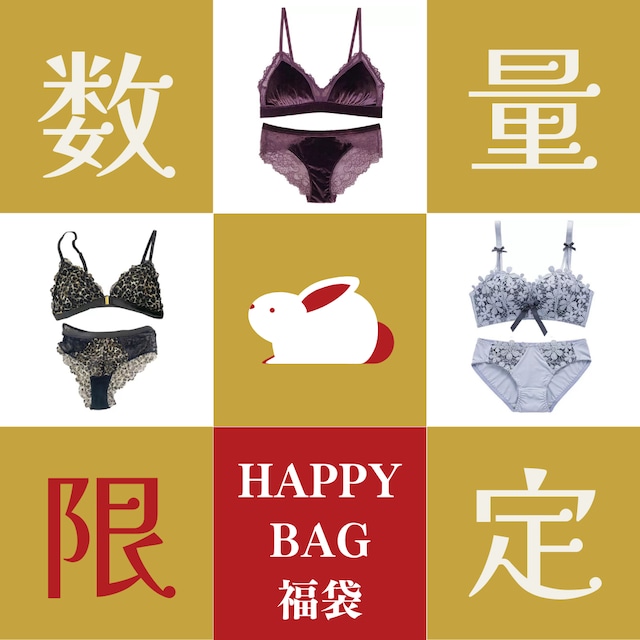 【超数量限定！半額以下】ランジェリー５点セット HAPPY BAG