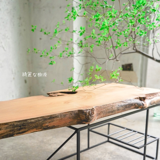 ニセアカシアの 一枚板ローテーブル